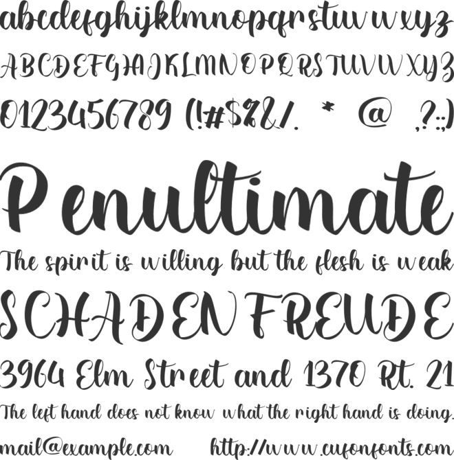 Alicia Catherine font preview