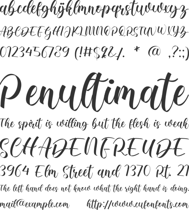 Melissa Olivia font preview