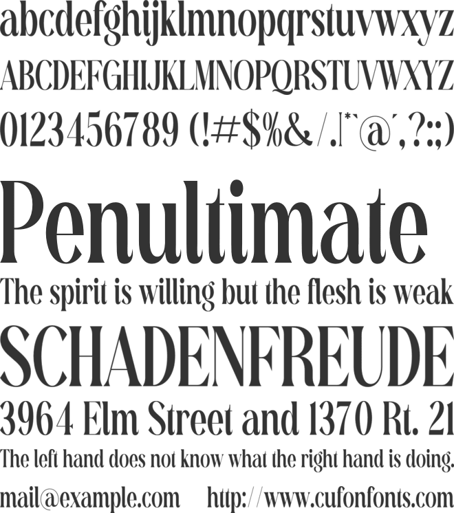 Richardo Flacky font preview