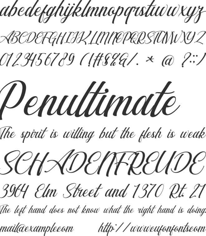 Synthetic font preview