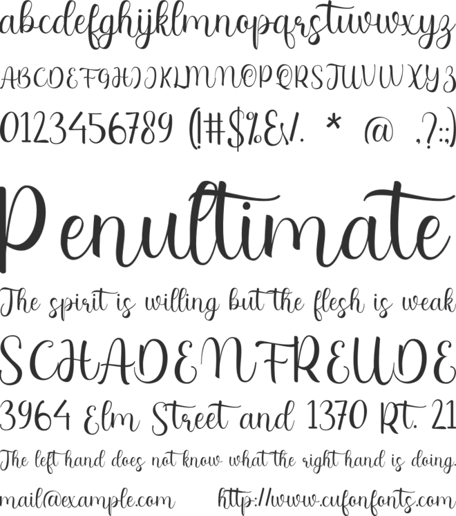 Adelaide Abot font preview