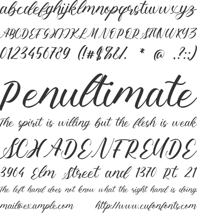 Shamika Taniya font preview