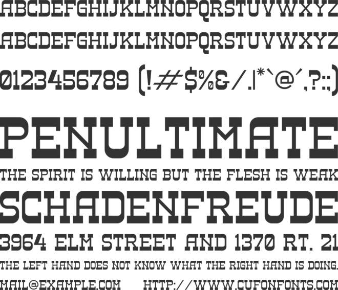 SHEAL THON SLAB font preview