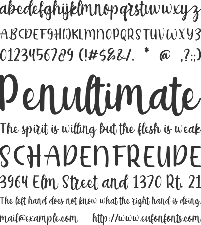 Delaney Emilia font preview