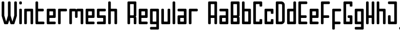 Wintermesh Regular font