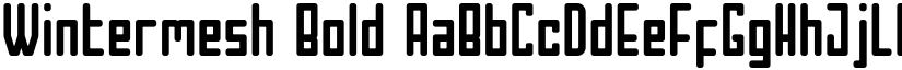 Wintermesh Bold font