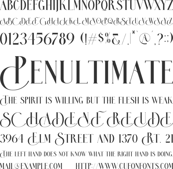 Activists font preview