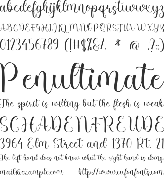 Larissa Meredith font preview