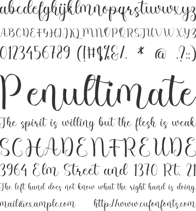 Larissa Meredith font preview