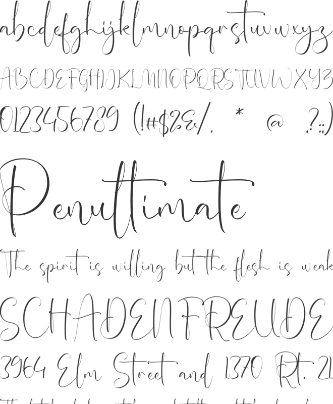 Amelie Mckenna font preview