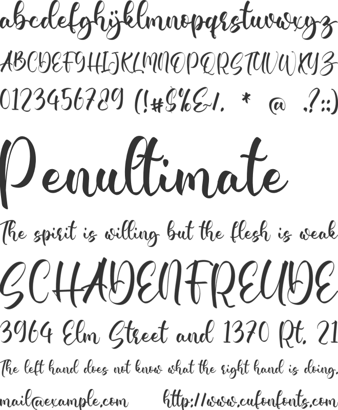 Regina Elisa font preview