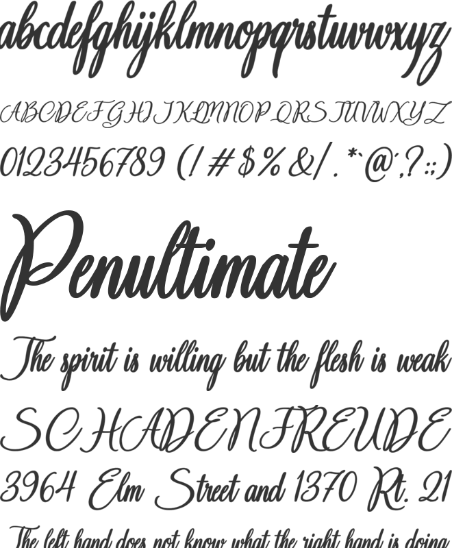 Chateau des Oliviers font preview