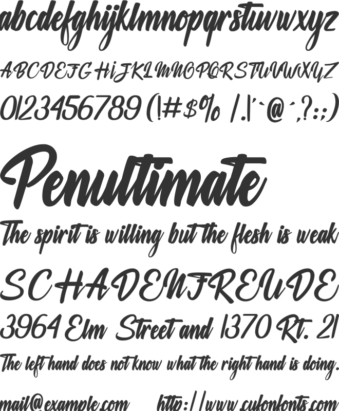 Delicate Moments font preview