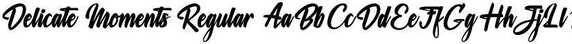 Delicate Moments Regular font