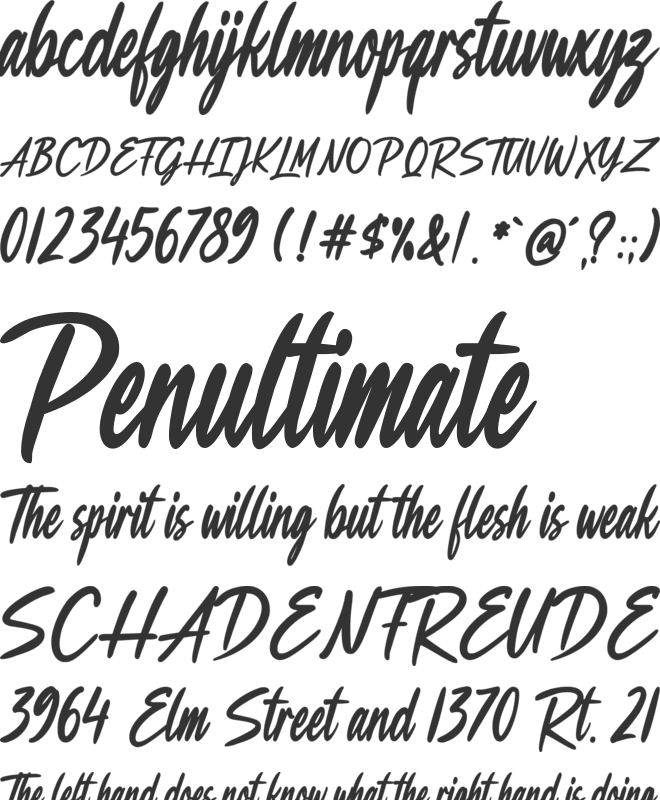 Fashion Drunk font preview