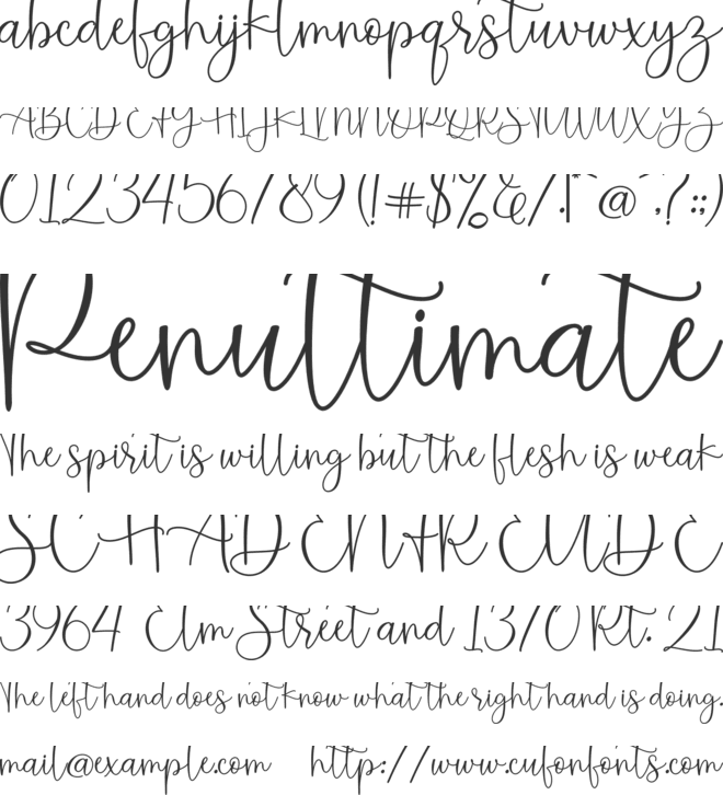 Montysse Demo font preview