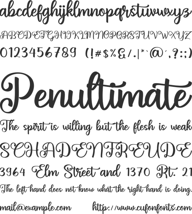 Bellcue Script font preview