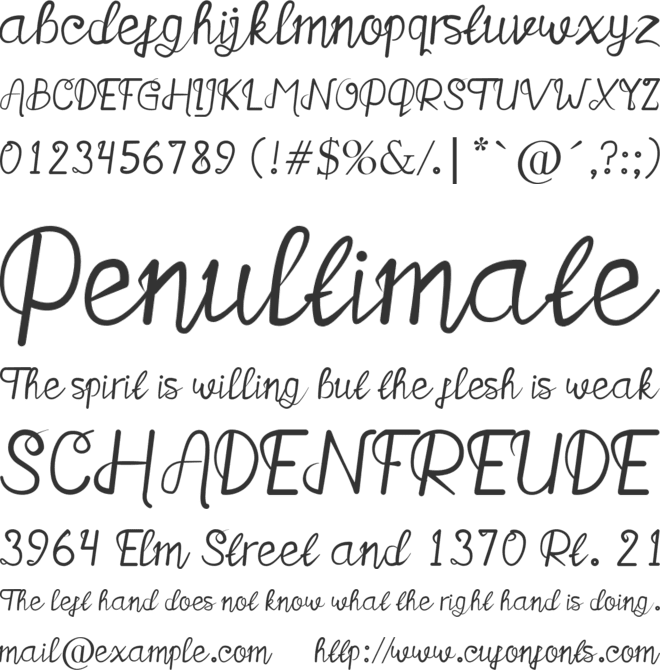 Salthink font preview