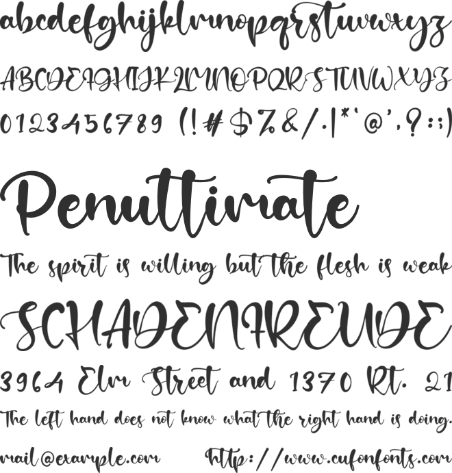 Absolutte font preview