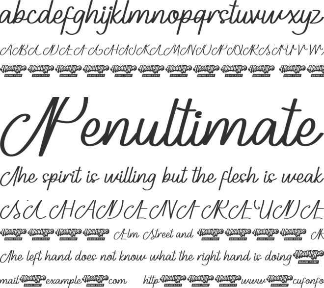 Next Time Demo font preview