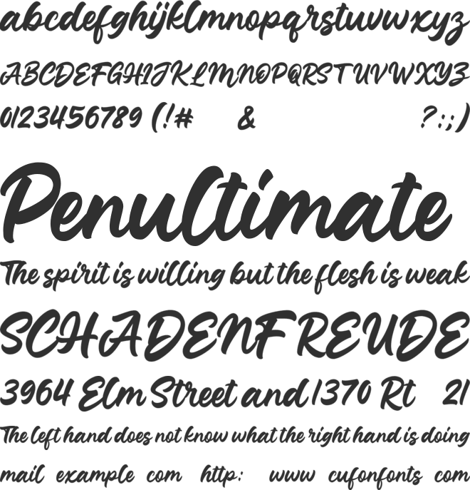 Junkies Style font preview