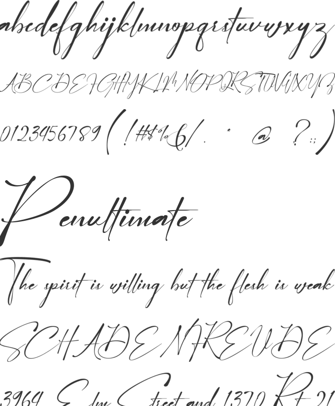 Arinttika Signature Demo font preview