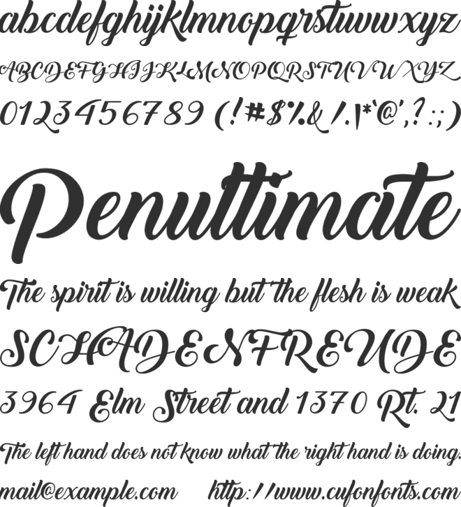 Back to Black  Demo font preview