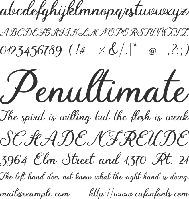 Wine Date font preview