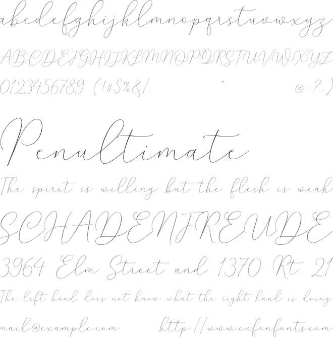 Mindline Script Demo font preview