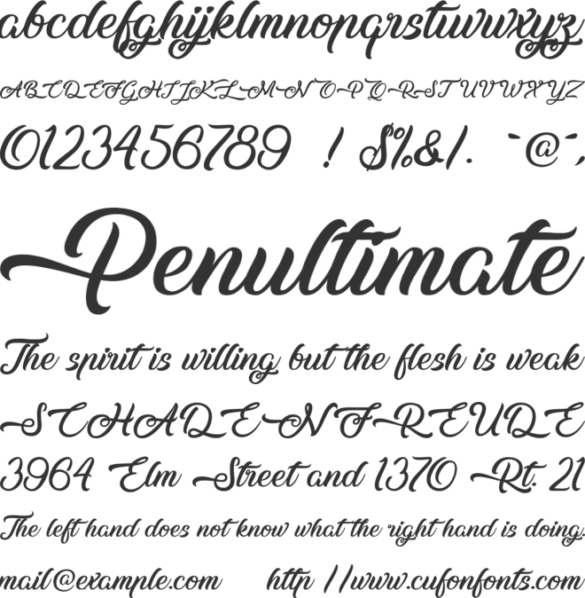 Midnight Bangkok font preview