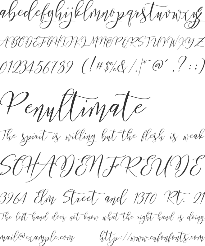 Frutilla Script font preview