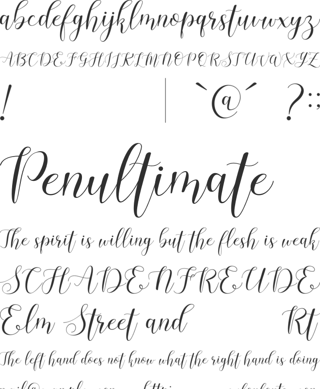 Machis Demo font preview