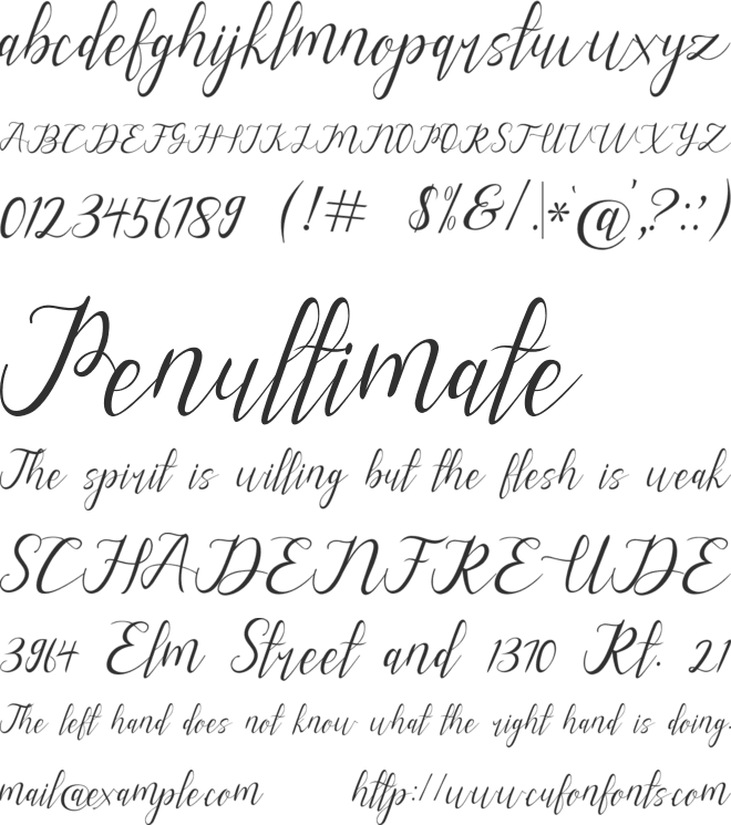 alysa scrip font preview