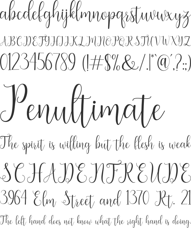 seabright font preview