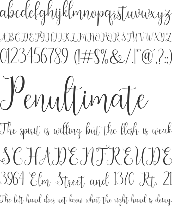 seabright font preview