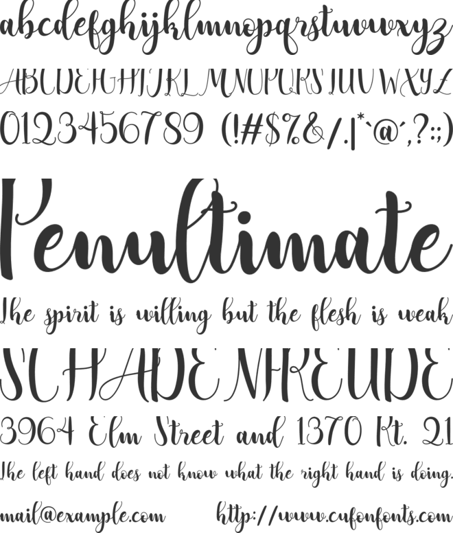 Adreena Script Demo font preview