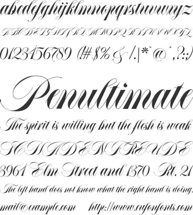 Abella Script font preview