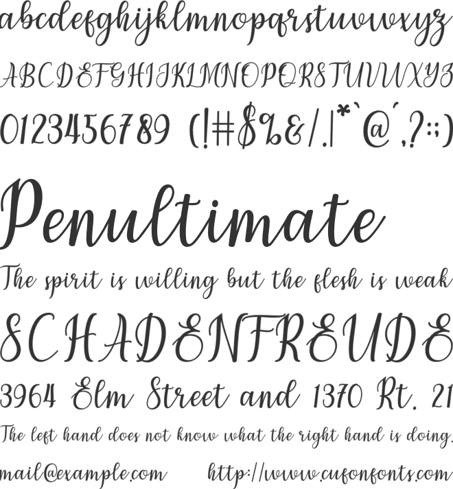 chetlie font preview