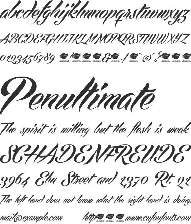 Echinos Park Script PERSONAL USE ONLY font preview