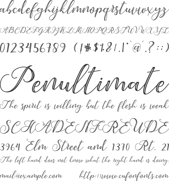 Under Script font preview