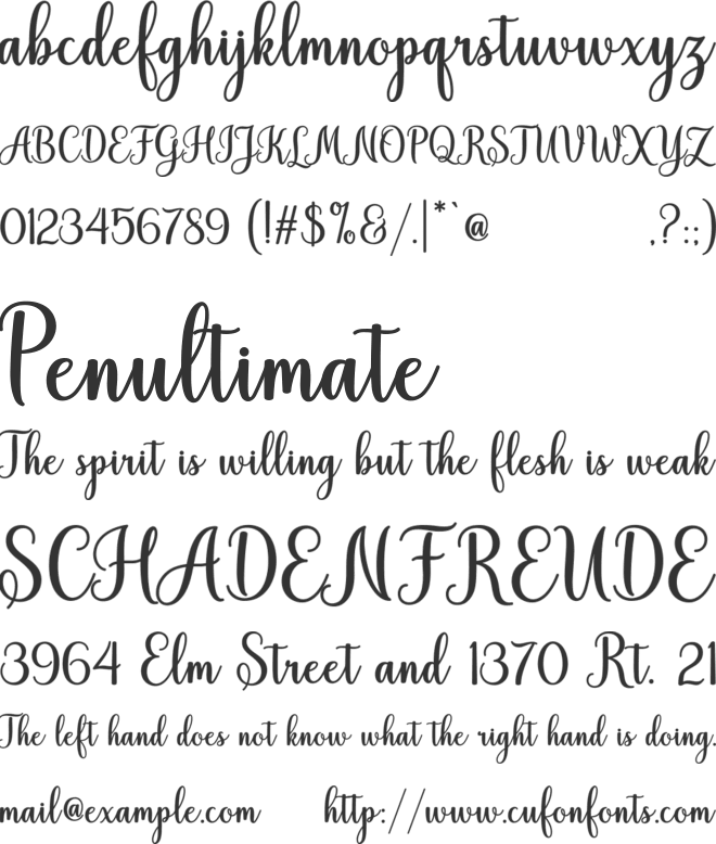 Hiyida Script Demo font preview