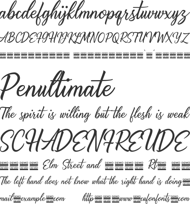 Alishader Demo font preview