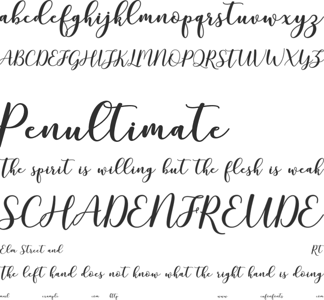mottona demo font preview