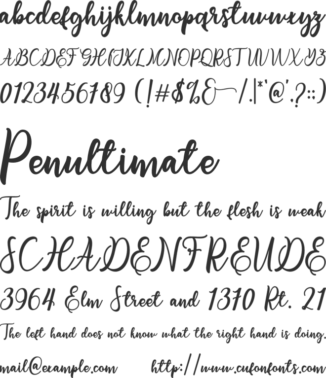 flashlight font preview