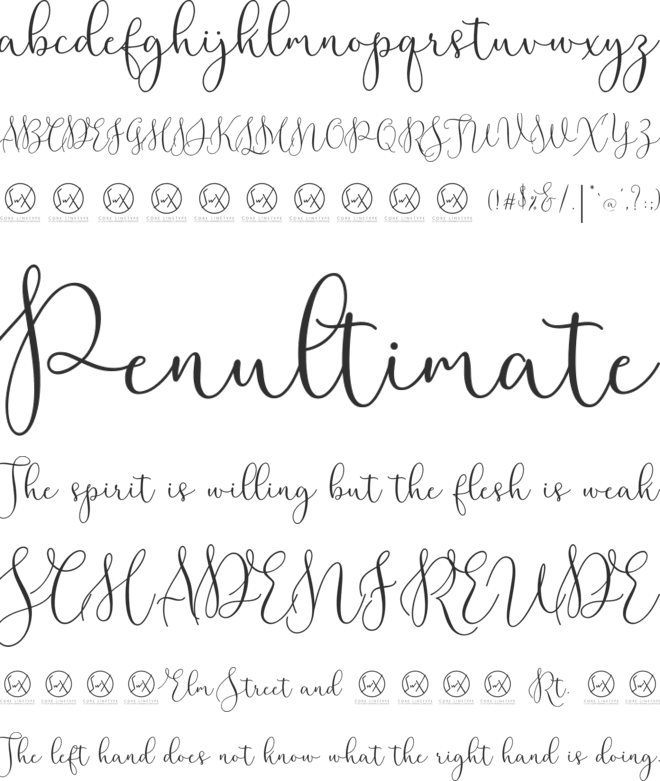 Rottarity Feminine font preview