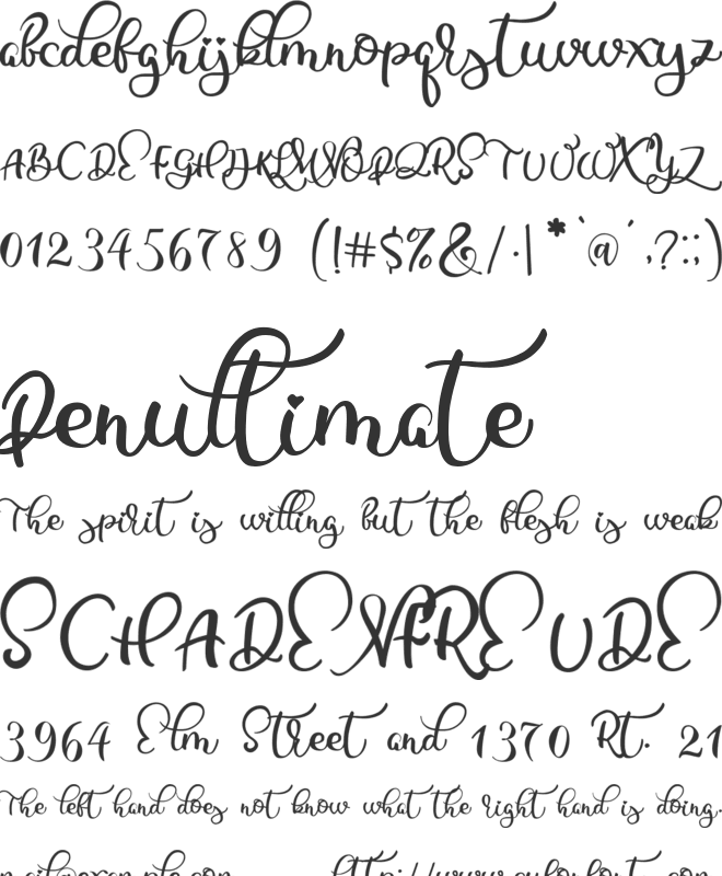 Raisty Demo font preview