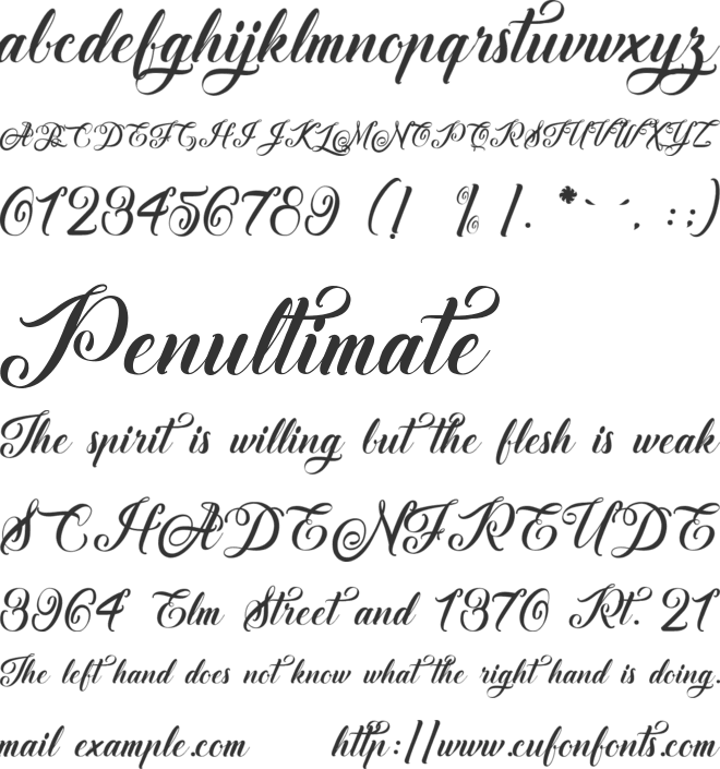 Afterschool Festival font preview