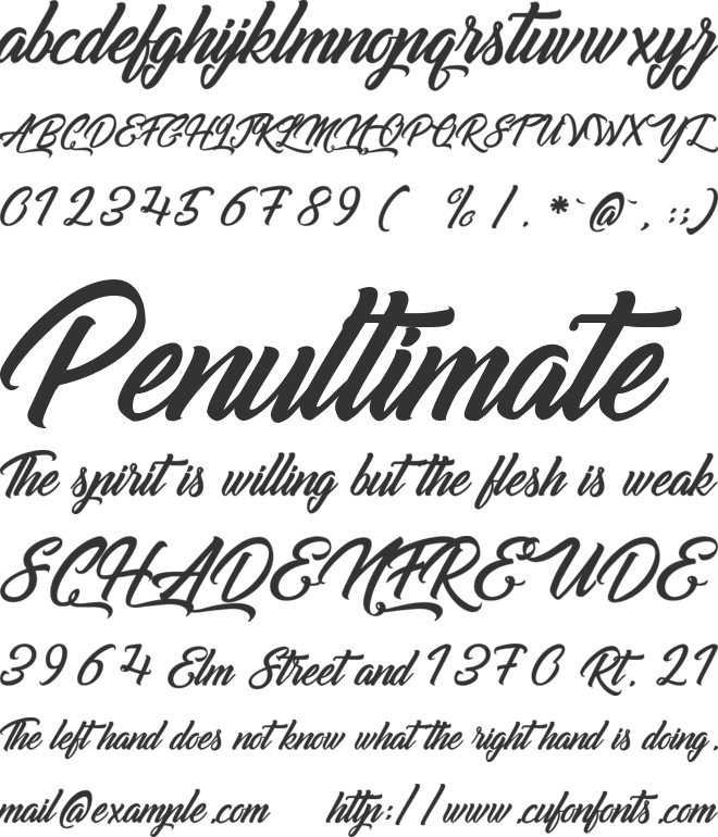 Goldfinger Kingdom font preview