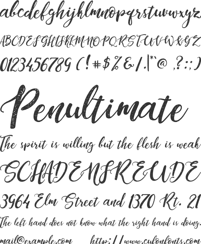 Dandeleon Vintage Demo font preview