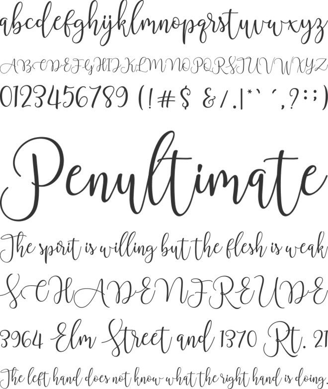 Chourush font preview